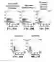 Fig. 23 - Allogeneic autophagosome-enriched composition for the treatment of disease