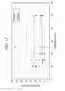 Fig. 13 - COMPONENT FOR PLASMA PROCESSING APPARATUS, AND MANUFACTURING METHOD THEREFOR