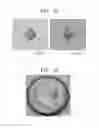 Fig. 14 - CRYSTALLINE ALLOY HAVING GLASS FORMING ABILITY, METHOD FOR MANUFACTURING SAME, ALLOY TARGET FOR SPUTTERING, AND METHOD FOR MANUFACTURING SAME