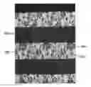 Fig. 01 - WARP KNITTING FABRIC EXPRESSING DESIGN PATTERN OF JACQUARD TEXTURE ON GROUND ORGANIZATION