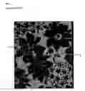 Fig. 02 - WARP KNITTING FABRIC EXPRESSING DESIGN PATTERN OF JACQUARD TEXTURE ON GROUND ORGANIZATION