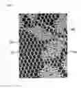 Fig. 07 - WARP KNITTING FABRIC EXPRESSING DESIGN PATTERN OF JACQUARD TEXTURE ON GROUND ORGANIZATION