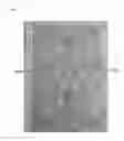 Fig. 08 - WARP KNITTING FABRIC EXPRESSING DESIGN PATTERN OF JACQUARD TEXTURE ON GROUND ORGANIZATION