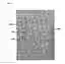 Fig. 12 - WARP KNITTING FABRIC EXPRESSING DESIGN PATTERN OF JACQUARD TEXTURE ON GROUND ORGANIZATION