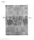 Fig. 14 - WARP KNITTING FABRIC EXPRESSING DESIGN PATTERN OF JACQUARD TEXTURE ON GROUND ORGANIZATION