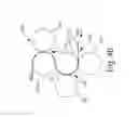 Fig. 32 - Method of making nonwoven material having discrete three-dimensional deformations with wide base openings