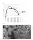 Fig. 04 - Textile sheet for clothes for radiating bioactive energy