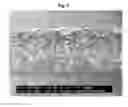 Fig. 10 - Basecoat and associated paperboard structure