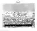 Fig. 11 - Basecoat and associated paperboard structure