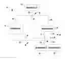 Fig. 01 - ELECTRONIC PLUMBING FIXTURE FITTING