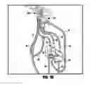 Fig. 19 - ELECTRONIC PLUMBING FIXTURE FITTING