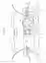 Fig. 02 - Vehicle door latch control device