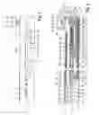 Fig. 02 - Sliding arrangement