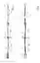 Fig. 11 - Mini Slat Folding Door