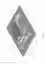 Fig. 06 - HINGE