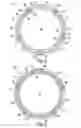 Fig. 03 - ANCHOR RING ASSEMBLY