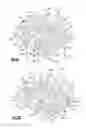 Fig. 05 - Gas turbine engine component having engineered vascular structure