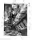 Fig. 03 - MODULAR THERMAL-INSULATING ASSEMBLY FOR WATERCRAFT ENGINES