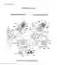 Fig. 07 - Variable combustion system for an internal combustion engine