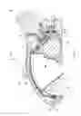 Fig. 05 - Cylinder head cover