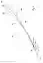 Fig. 11 - Rotating part of a hydraulic machine, hydraulic machine provided with such a rotating part and installation for converting energy comprising such a machine