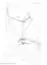 Fig. 02 - Turbine Blade