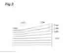 Fig. 04 - Joining structure