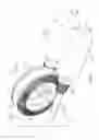 Fig. 06 - SYNCHRONIZED DUAL DRIVE GEAR ASSEMBLIES AND METHODS