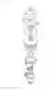 Fig. 08 - TRANSMISSION FOR SELF-PROPELLED ROLLING VEHICLE AND SELF-PROPELLED VEHICLE EQUIPPED WITH SUCH A TRANSMISSION