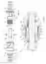 Fig. 06 - Compact clutch