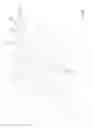 Fig. 41 - Mechanical restraint member