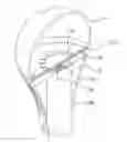 Fig. 01 - LED lamp and method for manufacturing the same