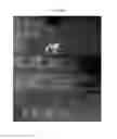 Fig. 96 - Bidirectional lighting apparatus with light emitting diodes