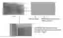 Fig. 01 - Micropillar-enabled thermal ground plane