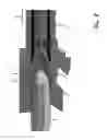 Fig. 03 - Firearm safety and chamber block indicator