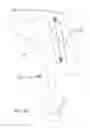 Fig. 33 - Extendable tang for a firearm