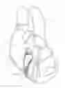 Fig. 12 - Secure personal item carrier weapon concealment compartment system