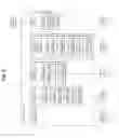 Fig. 07 - Driving assistance apparatus, and control method thereof