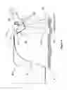 Fig. 10 - FIELD CYCLING MAGNETIC RESONANCE BASED METHOD AND APPARATUS TO MEASURE AND ANALYZE FLOW PROPERTIES IN FLOWING COMPLEX FLUIDS