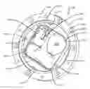 Fig. 01 - Wheel end sensor for heavy-duty vehicles