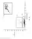 Fig. 16 - Deposition and imaging of particles on planar substrates