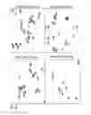 Fig. 09 - Method of partial lysis and assay