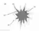 Fig. 01 - Coated mesoflowers for molecular detection and smart barcode materials