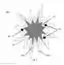 Fig. 04 - Coated mesoflowers for molecular detection and smart barcode materials