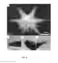 Fig. 07 - Coated mesoflowers for molecular detection and smart barcode materials