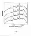 Fig. 05 - METHOD FOR TAGGING MATERIAL WITH SURFACE-ENHANCED SPECTROSCOPY (SES)-ACTIVE COMPOSITE NANOPARTICLES
