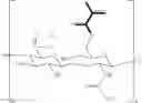 Fig. 12 - Biosensor