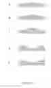 Fig. 11 - GRADED STRUCTURE FILMS