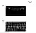 Fig. 02 - THIN-LAYER CHROMATOGRAPHY PLATE, METHOD FOR PRODUCING SUCH A PLATE, AND METHOD FOR PERFORMING A THIN-LAYER CHROMATOGRAPHY SEPARATION
