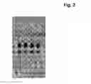 Fig. 03 - THIN-LAYER CHROMATOGRAPHY PLATE, METHOD FOR PRODUCING SUCH A PLATE, AND METHOD FOR PERFORMING A THIN-LAYER CHROMATOGRAPHY SEPARATION
